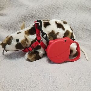 Red Retractable Flexi Mini Dog Leash with Red Harness